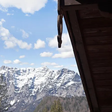Almrausch * Ramsau bei Berchtesgaden